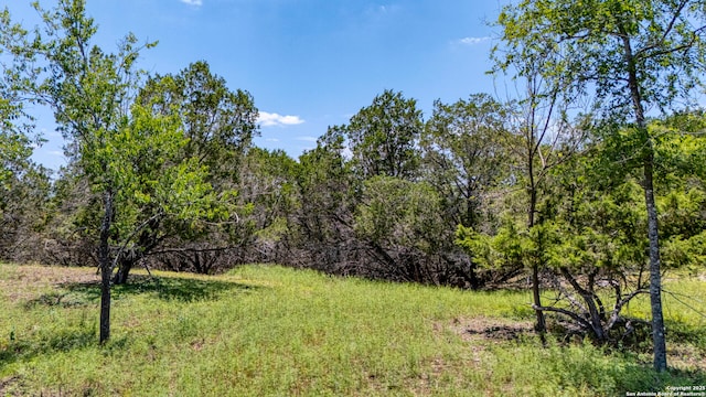 13132 State Highway 16, Medina, TX 78055 - view of yard with a view of trees