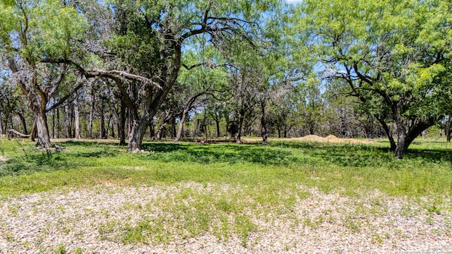 13132 State Highway 16, Medina, TX 78055 - view of local wilderness