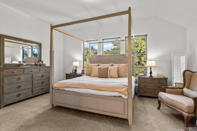 2604 Sueno Pt, San Antonio, TX 78245 - bedroom featuring carpet and lofted ceiling