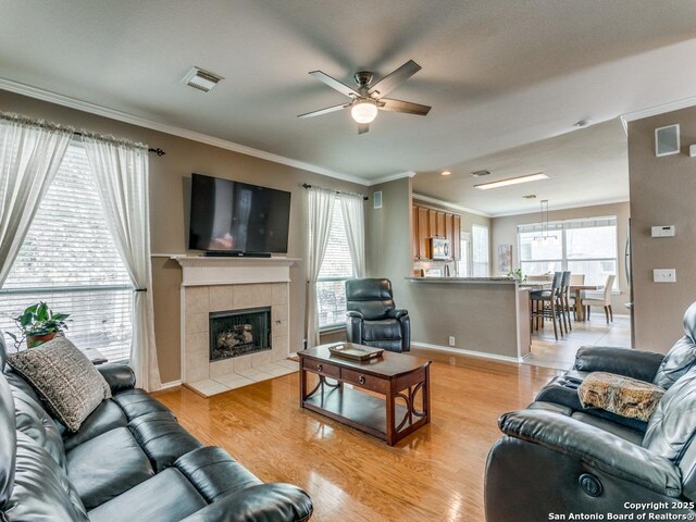 2115 Encino Breeze, San Antonio, TX 78259 - living room featuring crown molding, a ceiling fan, healthy amount of natural light, light wood finished floors, and a tile fireplace