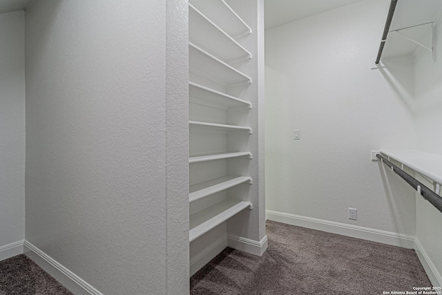 12455 Diagon Aly, San Antonio, TX 78254 - walk in closet with carpet floors