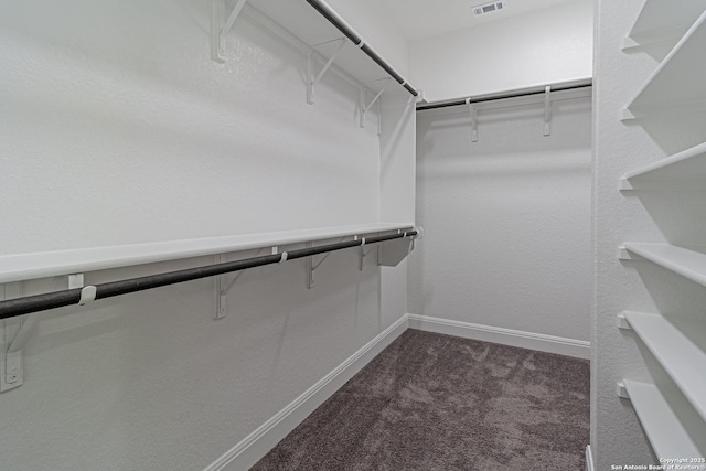 12455 Diagon Aly, San Antonio, TX 78254 - spacious closet featuring dark colored carpet