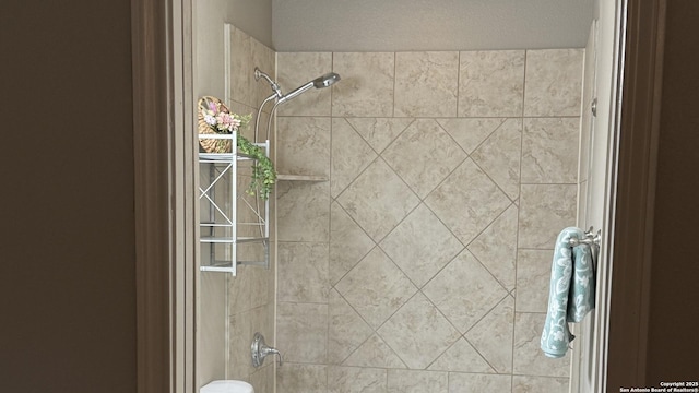 100 Lorenz Rd Unit 803, San Antonio, TX 78209 - full bath with a tile shower