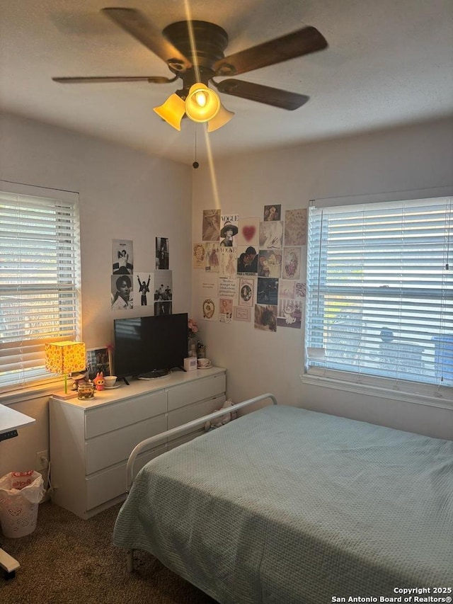 5139 Village Ct, San Antonio, TX 78218 - carpeted bedroom with multiple windows and a ceiling fan