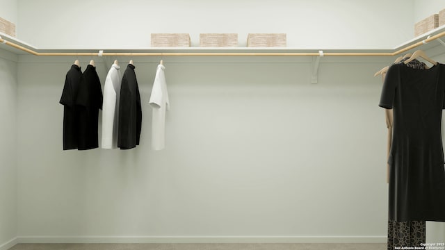 3709 Swift Fox Rd, New Braunfels, TX 78130 - view of spacious closet