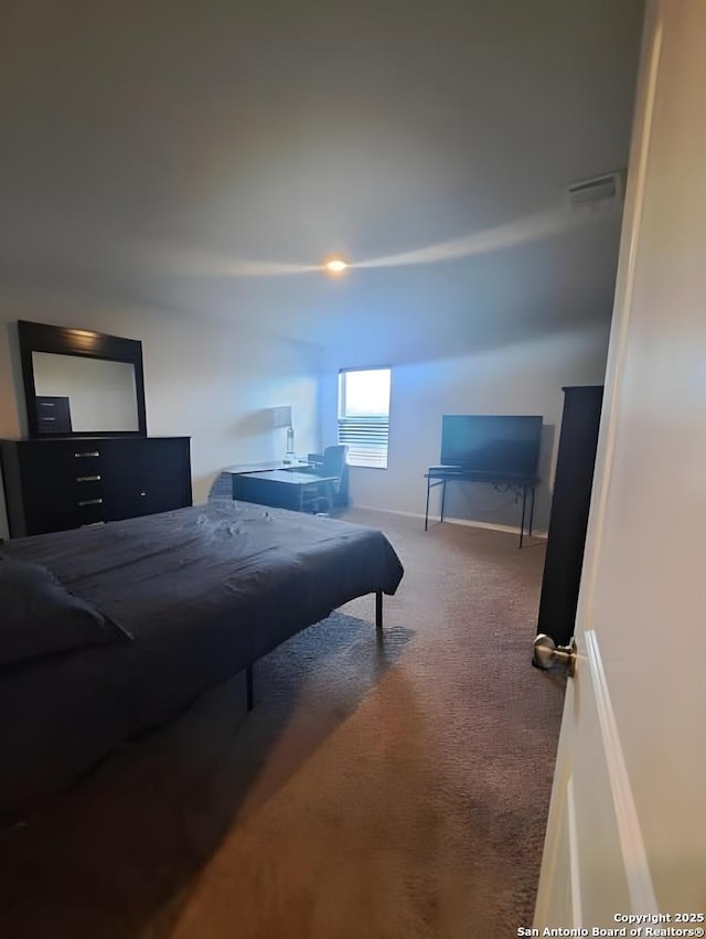 318 Pradera Cv, San Antonio, TX 78237 - carpeted bedroom featuring baseboards