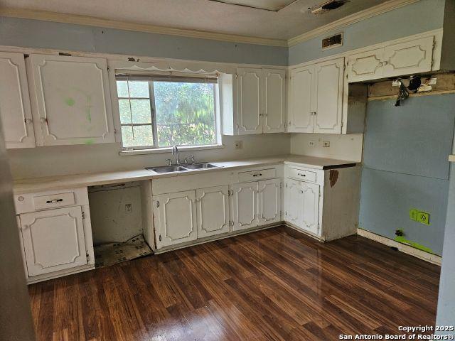 2310 W Gramercy, San Antonio, TX 78201 - kitchen with crown molding, white cabinets, dark wood-type flooring, and light countertops