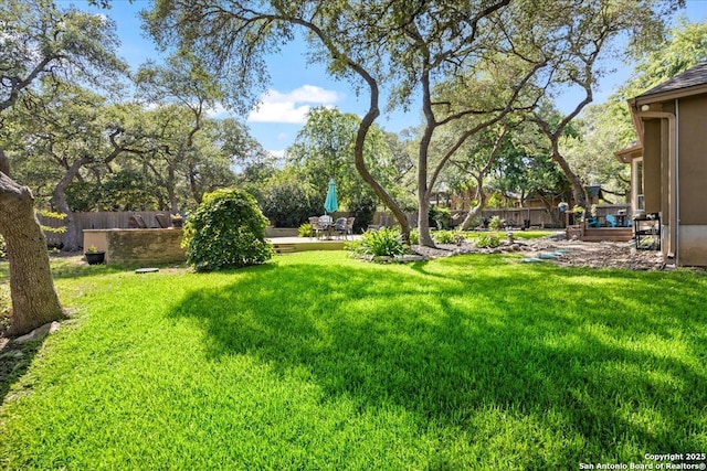 26815 Duet Dr, San Antonio, TX 78260 - view of yard