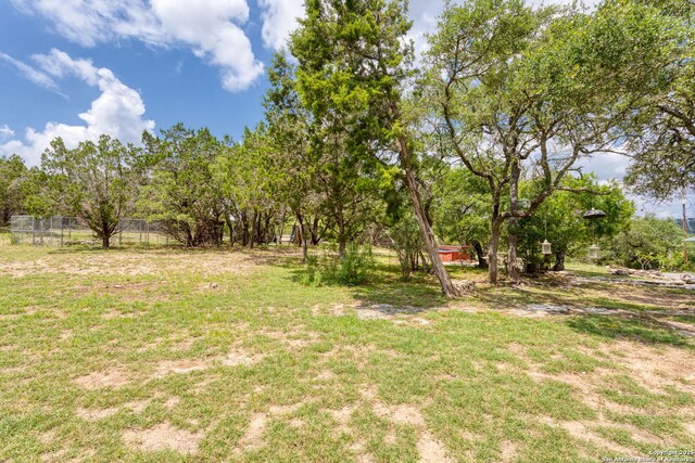 655 Shepherds, Bulverde, TX 78163 - view of yard