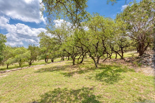 655 Shepherds, Bulverde, TX 78163 - view of green lawn