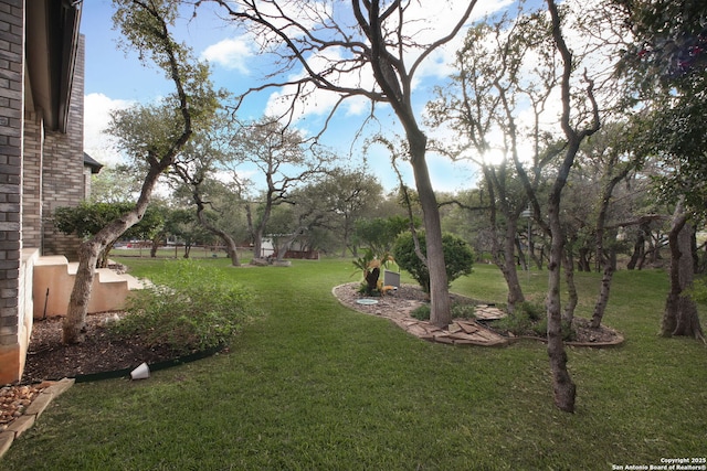109 Trailcrest, Hollywood Park, TX 78232 - view of grassy yard