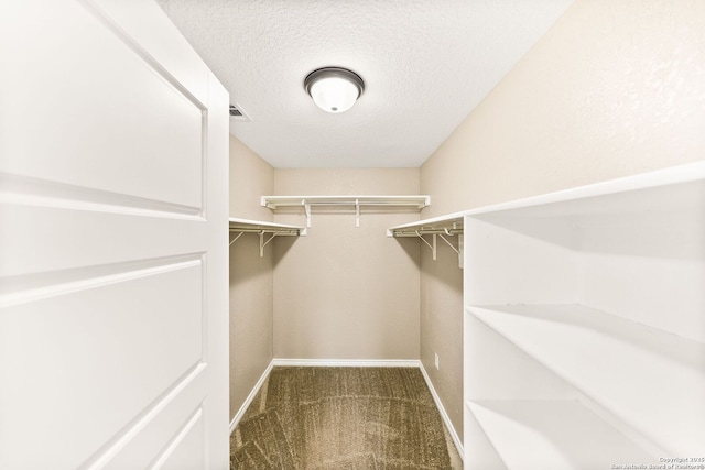11406 Sawyer Vly, San Antonio, TX 78254 - walk in closet with carpet floors