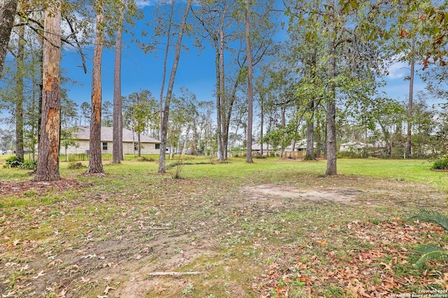 931 Republic Rd, New Caney, TX 77357 - view of yard