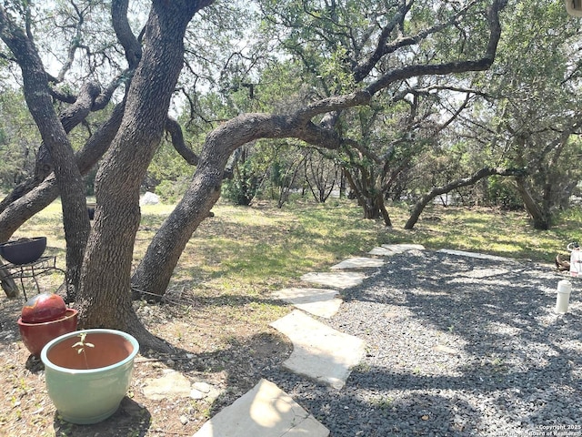 614 Slumber, San Antonio, TX 78260 - view of yard