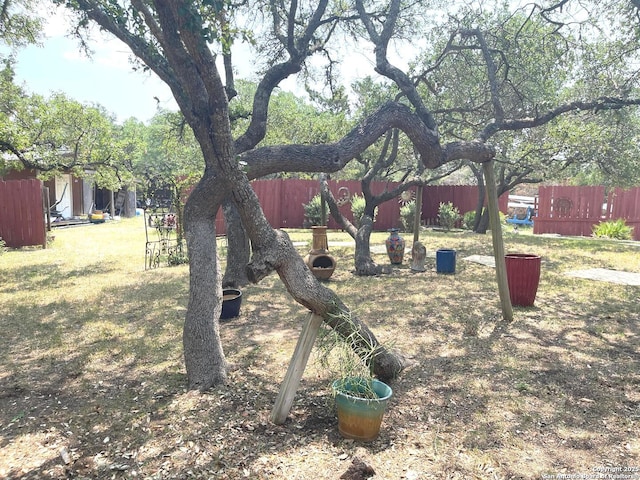 614 Slumber, San Antonio, TX 78260 - view of yard