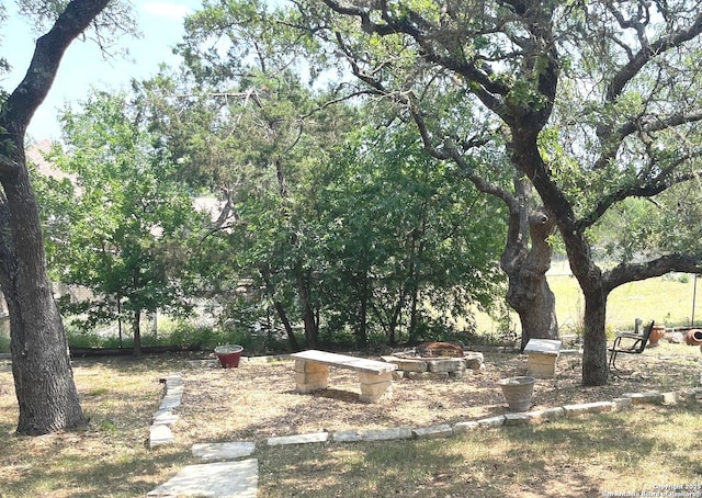 614 Slumber, San Antonio, TX 78260 - view of yard