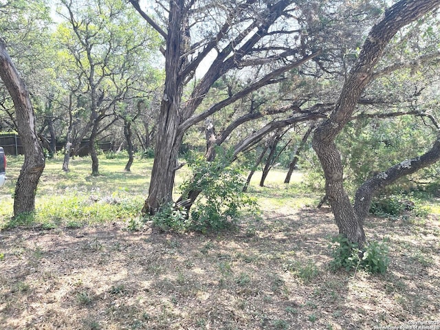 614 Slumber, San Antonio, TX 78260 - view of undeveloped land