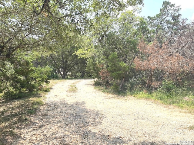 614 Slumber, San Antonio, TX 78260 - view of street featuring a view of trees