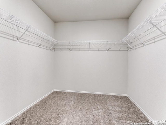 9410 Sandy Rdg, San Antonio, TX 78239 - spacious closet with carpet floors