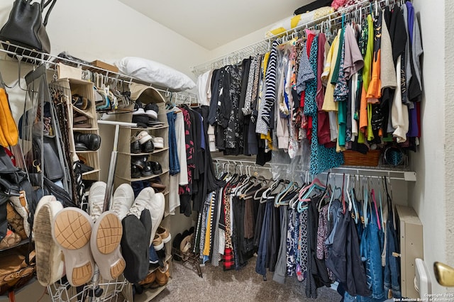 5330 Stormy Hls, San Antonio, TX 78247 - walk in closet with carpet