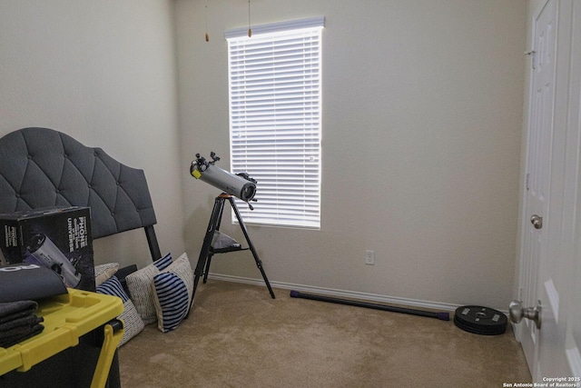 11334 Pink Star, San Antonio, TX 78245 - rec room featuring carpet and baseboards