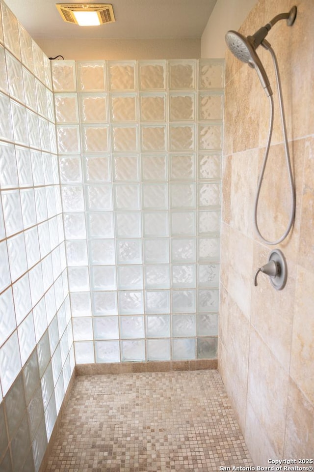 317 Saddle Mtn, Boerne, TX 78006 - bathroom with a tile shower
