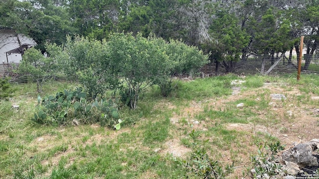317 Saddle Mtn, Boerne, TX 78006 - view of local wilderness