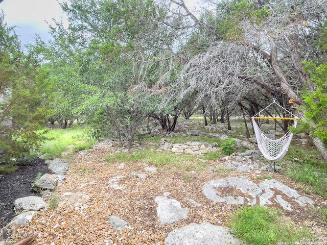 317 Saddle Mtn, Boerne, TX 78006 - view of yard