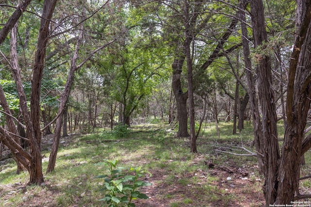 317 Saddle Mtn, Boerne, TX 78006 - view of wooded area