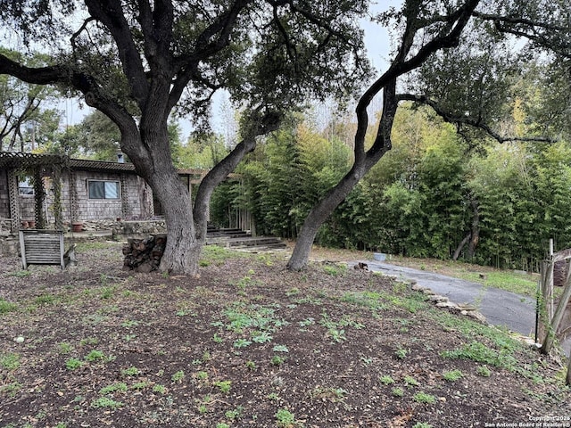 323 N Scenic Loop, Canyon Lake, TX 78133 - view of yard