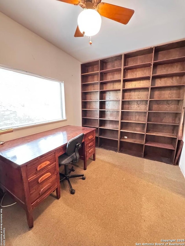 323 N Scenic Loop, Canyon Lake, TX 78133 - home office with light colored carpet and a ceiling fan
