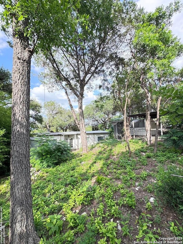 323 N Scenic Loop, Canyon Lake, TX 78133 - view of yard