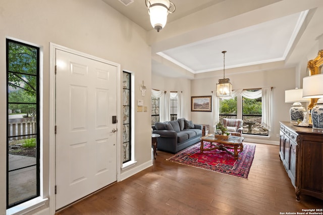 7 Mcinnis, Bulverde, TX 78163 - foyer entrance with a raised ceiling and hardwood / wood-style flooring