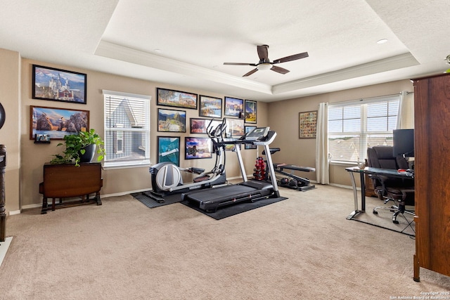 27306 Pollock, San Antonio, TX 78260 - workout area featuring a raised ceiling, carpet floors, a ceiling fan, and ornamental molding