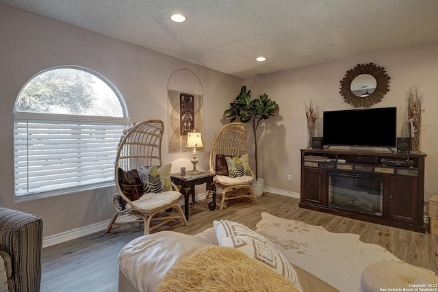 402 Hermine Blvd, San Antonio, TX 78212 - living area featuring plenty of natural light, light wood-style flooring, a textured ceiling, and recessed lighting