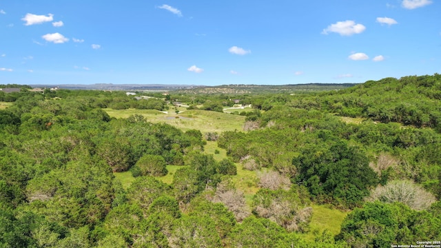 1712 Demi John Bend Rd, Canyon Lake, TX 78133
