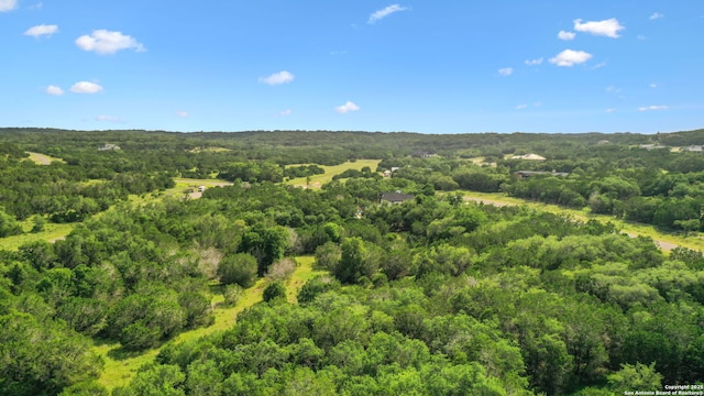 1712 Demi John Bend Rd, Canyon Lake, TX 78133