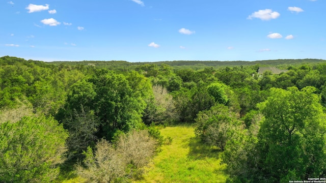 1712 Demi John Bend Rd, Canyon Lake, TX 78133