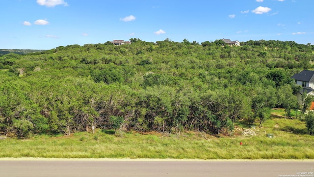 1712 Demi John Bend Rd, Canyon Lake, TX 78133