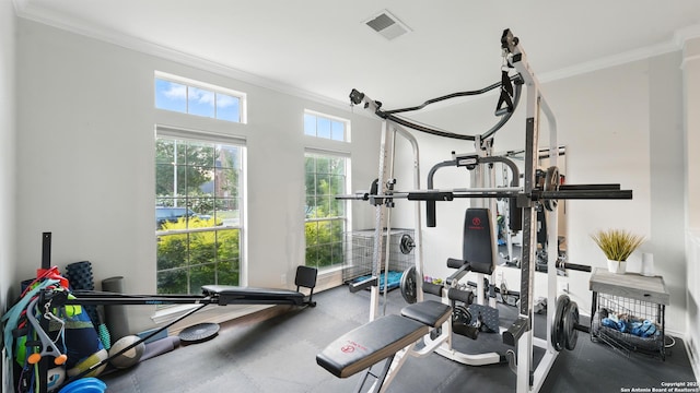 1739 Oak Gln, New Braunfels, TX 78132 - exercise area featuring crown molding