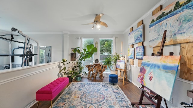 1739 Oak Gln, New Braunfels, TX 78132 - living area featuring ornamental molding, ceiling fan, and wood finished floors
