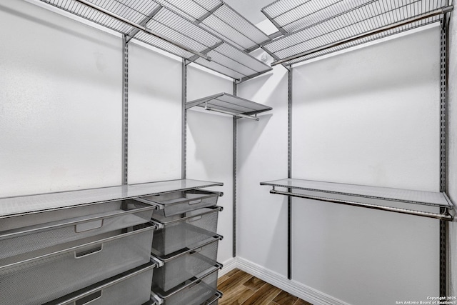 2116 Turkey Ledge, San Antonio, TX 78232 - walk in closet featuring dark wood-type flooring