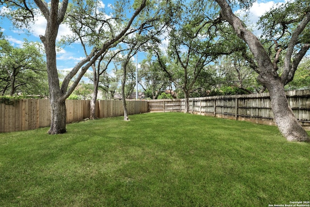 2116 Turkey Ledge, San Antonio, TX 78232 - view of fenced backyard
