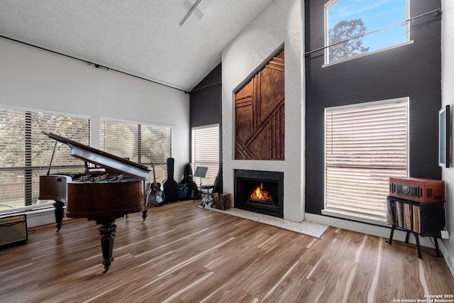 30650 Wildcat Dr, Bulverde, TX 78163 - sitting room featuring high vaulted ceiling, wood finished floors, a fireplace with flush hearth, and a textured ceiling