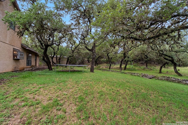 30650 Wildcat Dr, Bulverde, TX 78163 - view of grassy yard with a trampoline