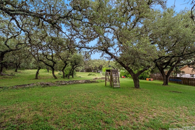 30650 Wildcat Dr, Bulverde, TX 78163 - view of yard