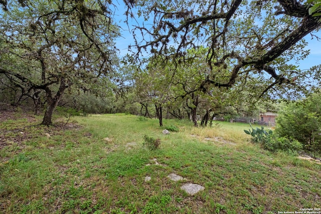 30650 Wildcat Dr, Bulverde, TX 78163 - view of yard