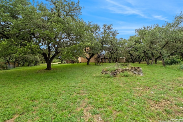 30650 Wildcat Dr, Bulverde, TX 78163 - view of green lawn