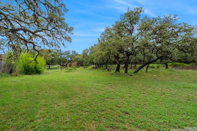 30650 Wildcat Dr, Bulverde, TX 78163 - view of yard