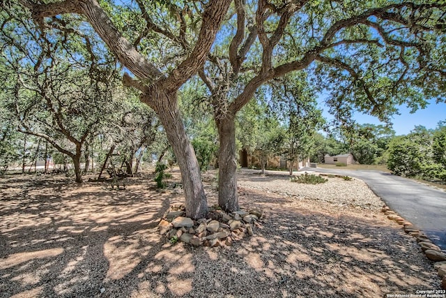 1463 Birch Ln, Fischer, TX 78623 - view of yard